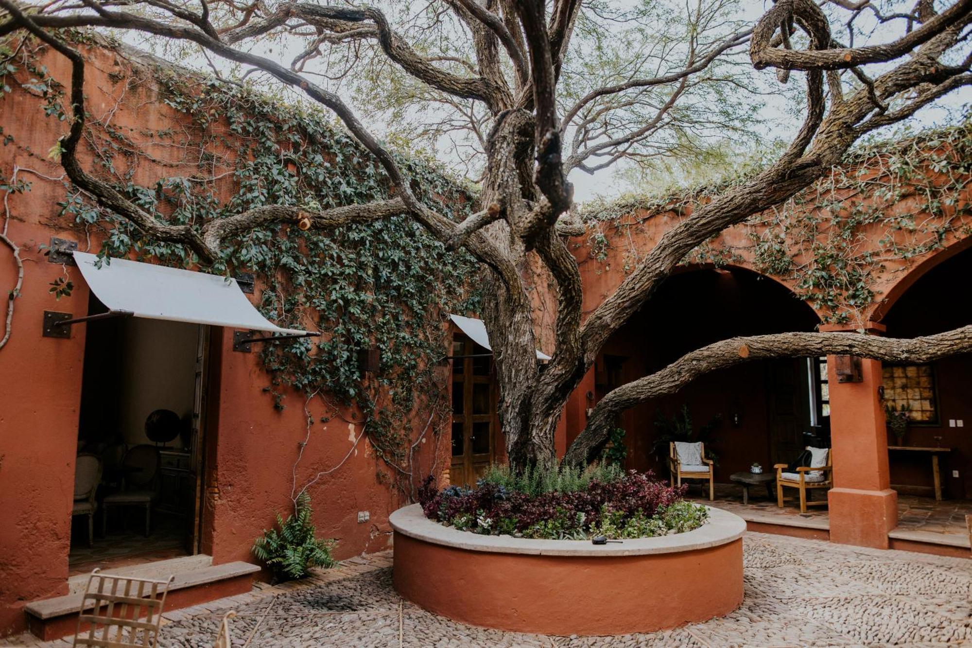 Hotel Casa De Quino Viborillas エクステリア 写真