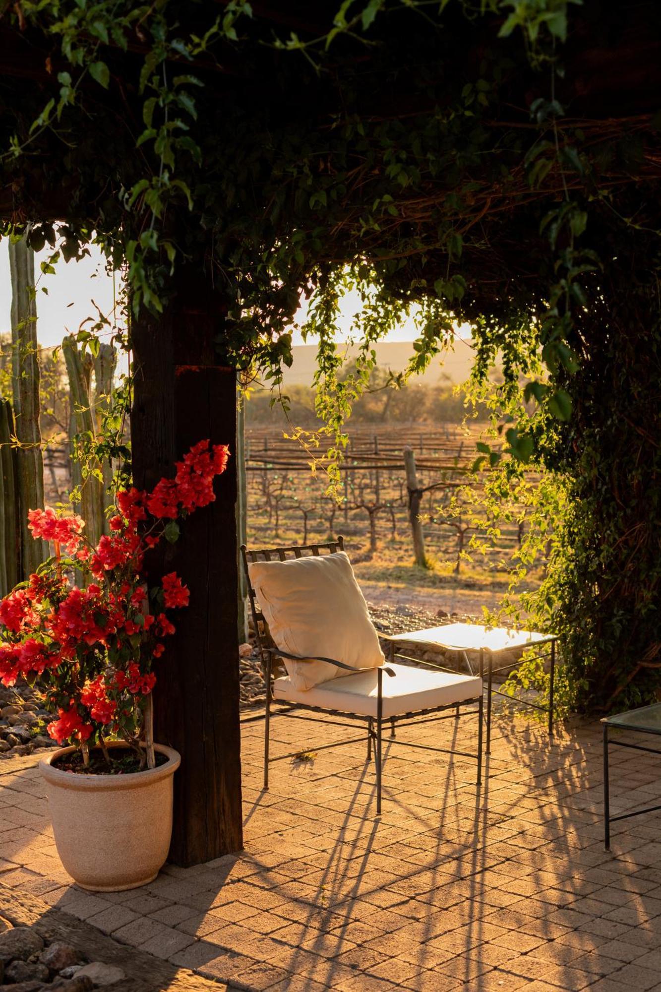 Hotel Casa De Quino Viborillas エクステリア 写真